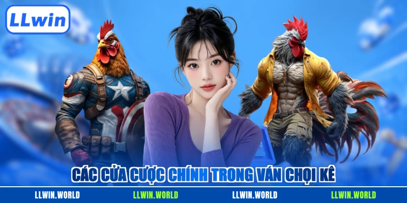 Các cửa cược chính trong ván chọi kê