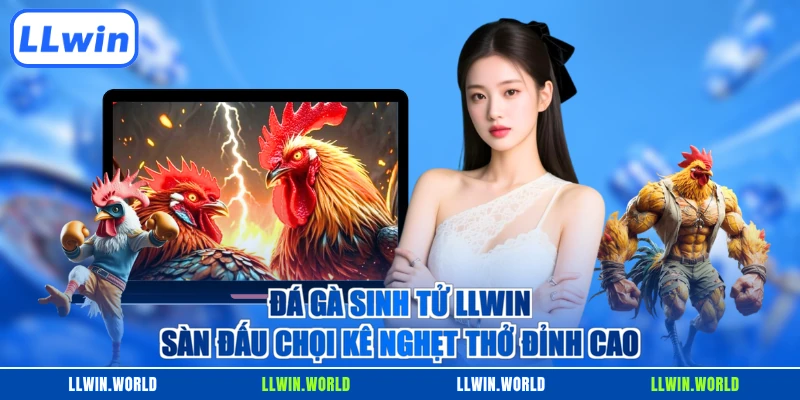 Đá Gà Sinh Tử LLWIN - Sàn Đấu Chọi Kê Nghẹt Thở Đỉnh Cao