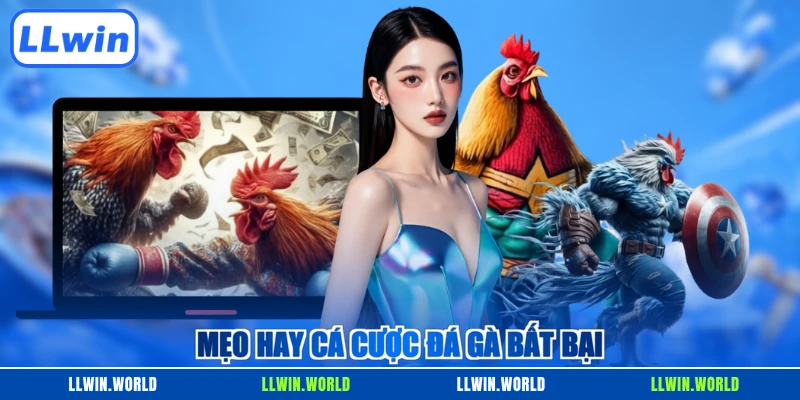 Mẹo hay cá cược đá gà bất bại
