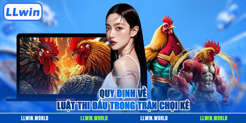 Quy định về luật thi đấu trong trận chọi kê